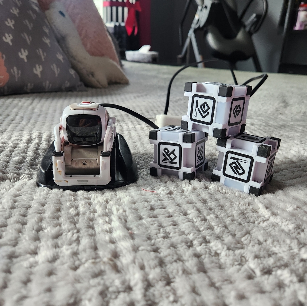 Robot
